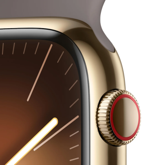 Apple Watch Series 9 45mm Steal Gold M/L