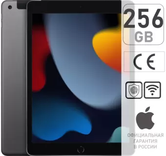Apple iPad (2021) 256GB Wi-Fi Space Gray (РСТ) — купить в Москве и СПб.