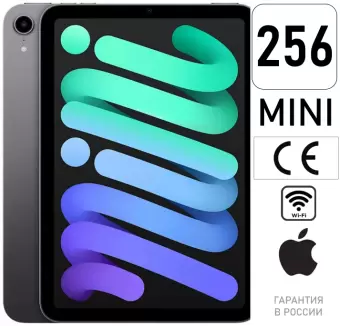 Apple iPad mini (2021) 256GB Wi-Fi Space Gray — купить в Москве и СПб.
