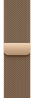 Apple Watch Series 10 46mm Gold O2